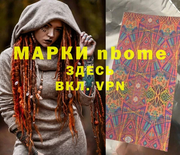 хмурый Кодинск