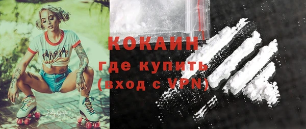 хмурый Кодинск